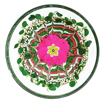 Valentina Viollat - The Soul Garden website