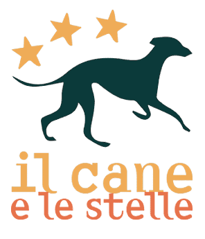 Promozione e consulenza
